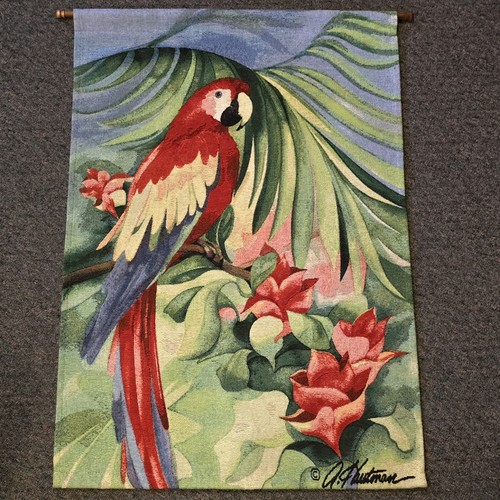 Macaw new world tropical - macaw,